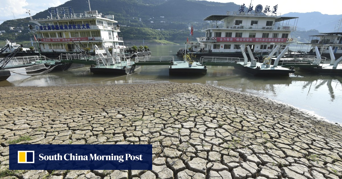 Drought, flooding threaten China’s ‘critical’ autumn grain harvest - South China Morning Post