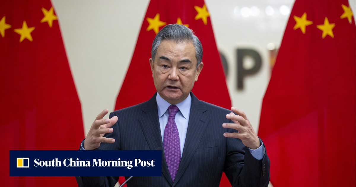China backs African Union bid to join the Group of 20 | South China ...