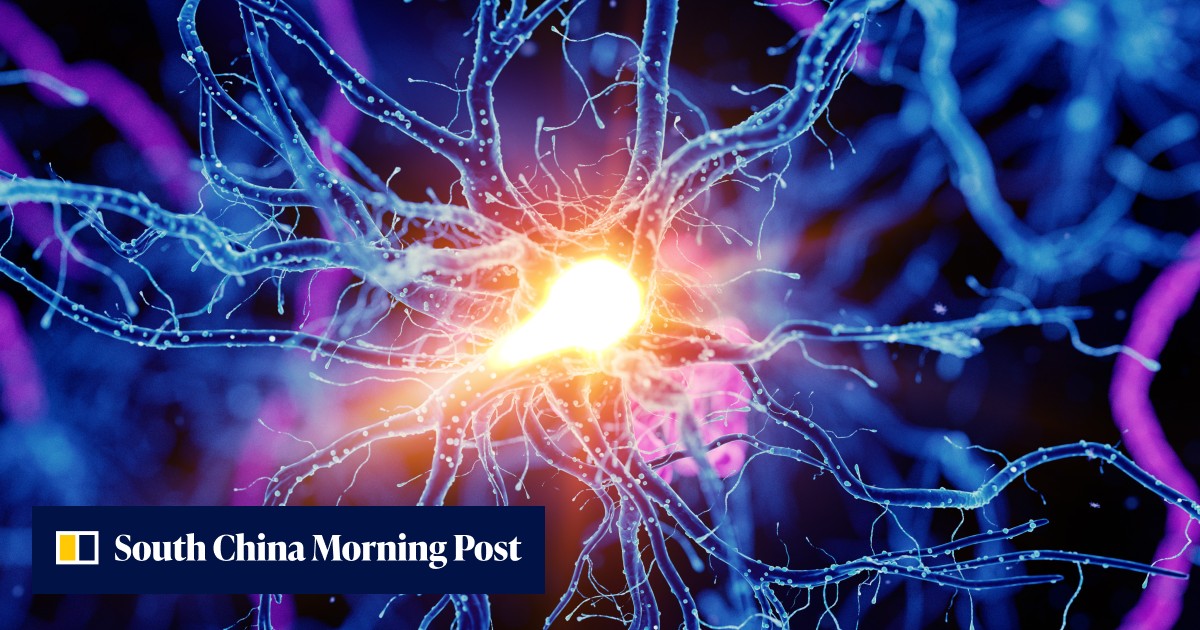 Chinese scientists use liquid metal to create ‘X-rat’ in the hope of ...