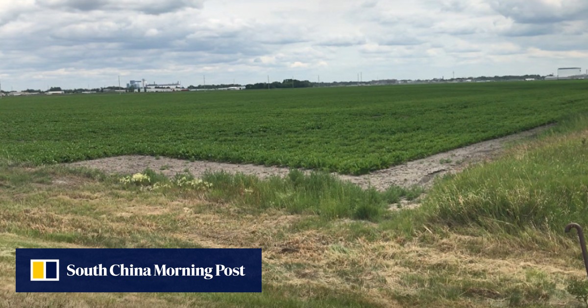 North Dakota court rejects bid to put Chinese project to a citywide