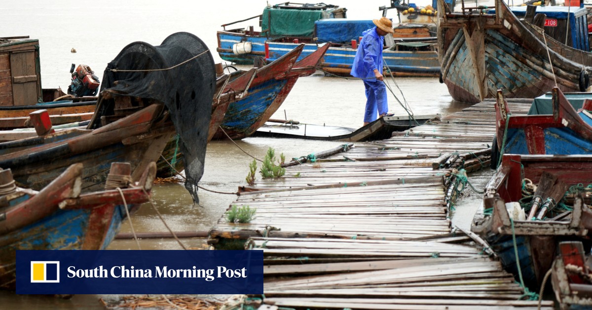Chinese ports at a standstill as Typhoon Muifa heads for eastern coast
