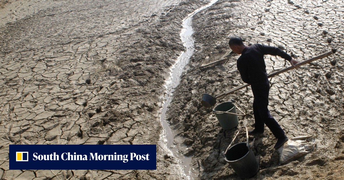 In China’s rice-growing heartland, farmers fight to save the autumn ...