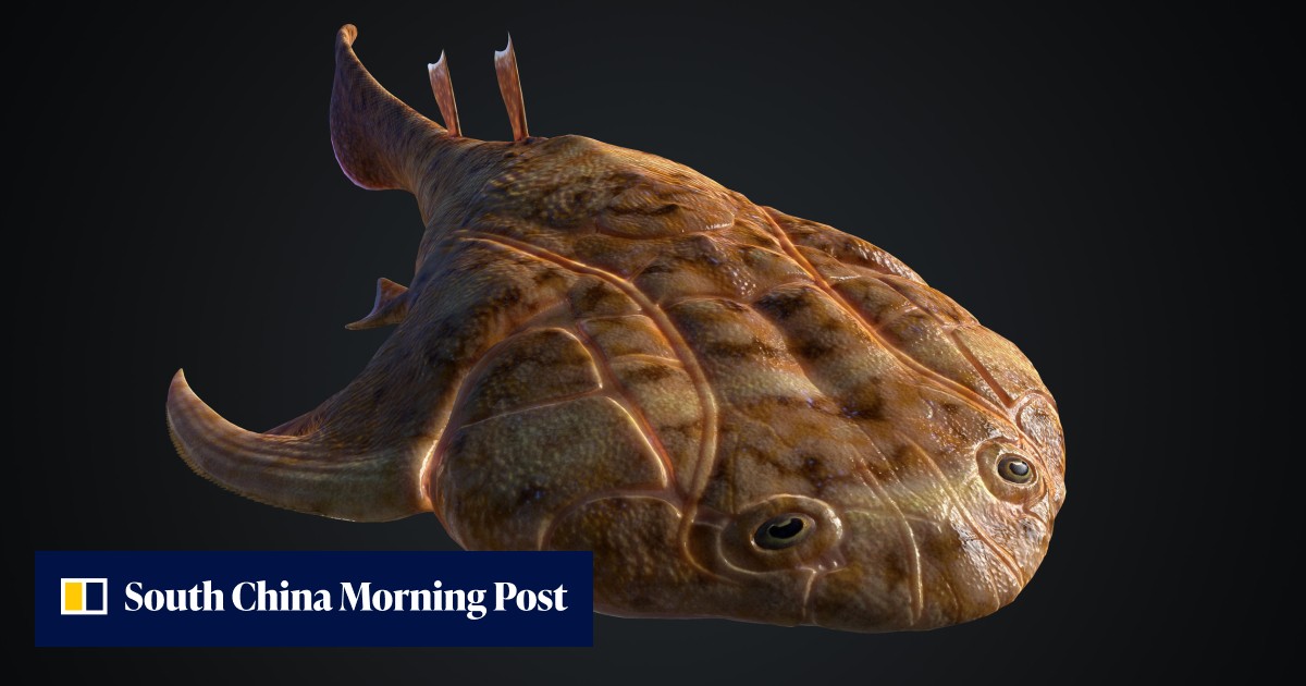 ‘Exquisite’ Chinese fish fossils fill gaps in understanding the ...