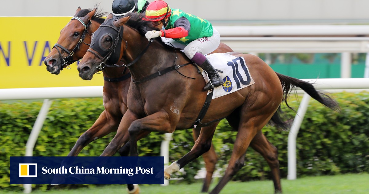 National Day Cup contender Cordyceps Six ticks every box for Sha Tin feature