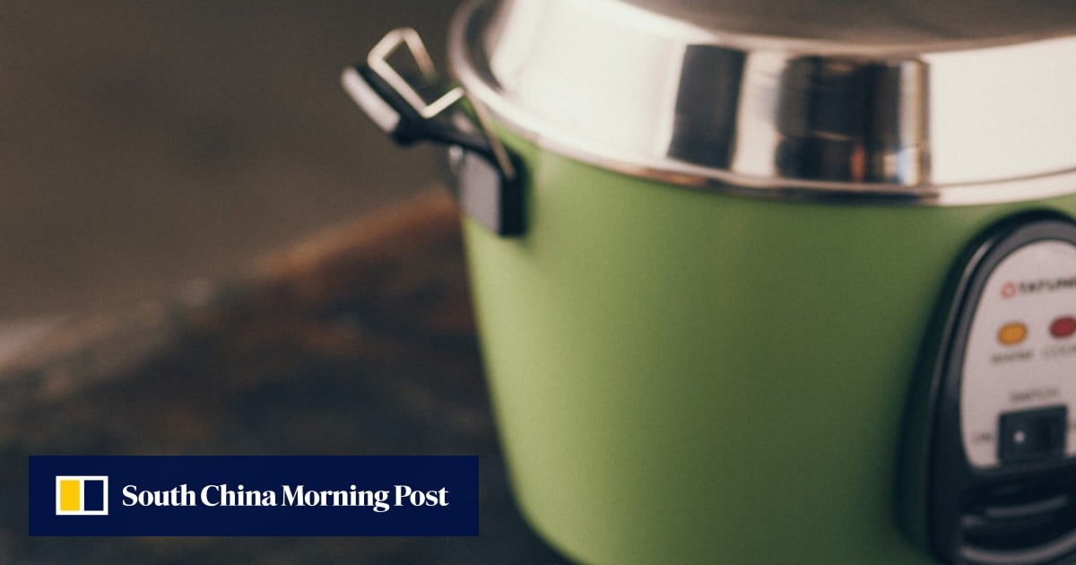 Forget the Instant Pot Taiwanese steamer Tatung makes everything