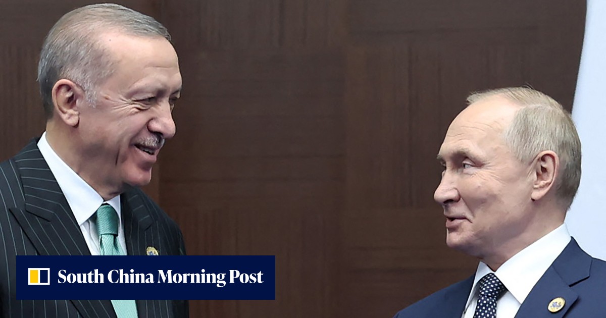 Putin puts ‘gas hub’ plan for Europe to Türkiye’s Erdogan | South China ...