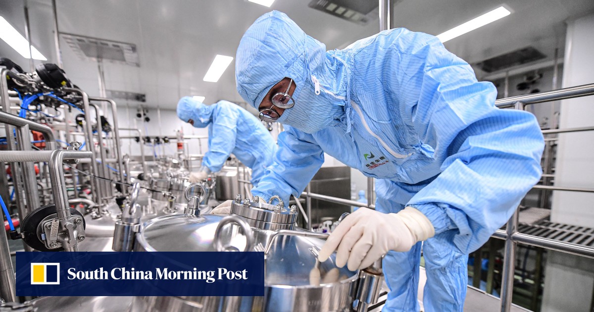 ‘Best days are over’ for China’s pandemic stock winners as zeroCovid