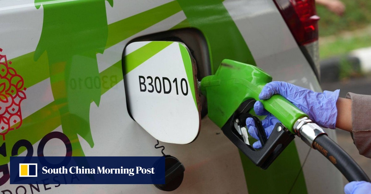 Indonesia testing efficiency of cars that run on cooking oil at high