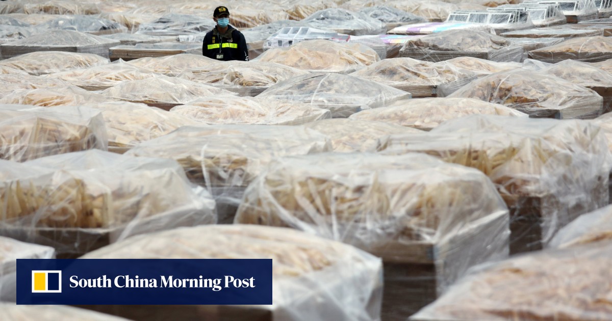 Hong Kong customs seizes almost 50 tonnes of dried seafood worth HK250