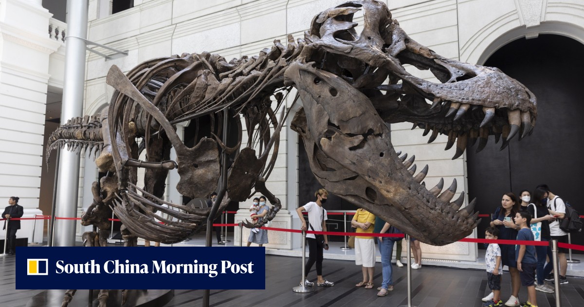 Rex China T. rex auction in Hong Kong cancelled after doubts raised about parts ...