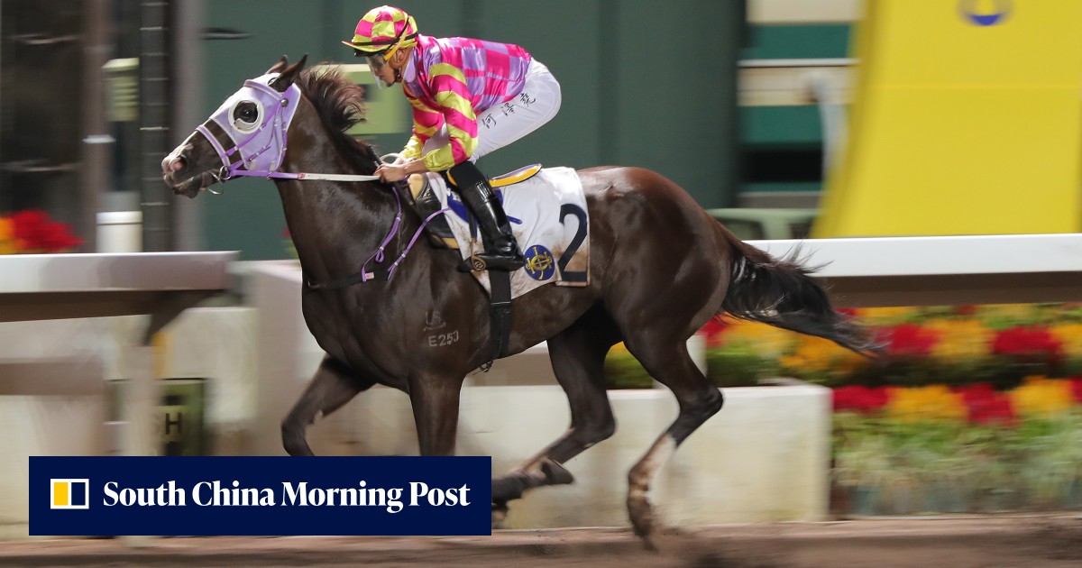 Scmp Racing Chris So hits pay dirt after switching Super Win Dragon from turf track ...