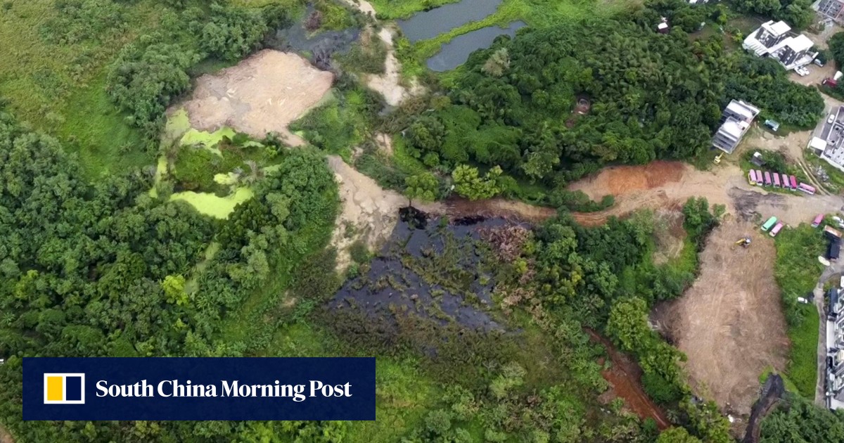 Hong Kong green campaigners find brownfield sites expanding into