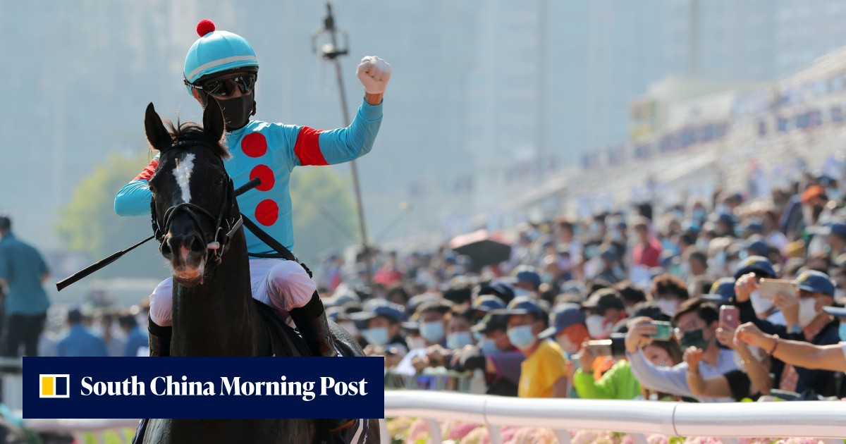 HKIR: Watch the last start of every Hong Kong Vase runner, including ...