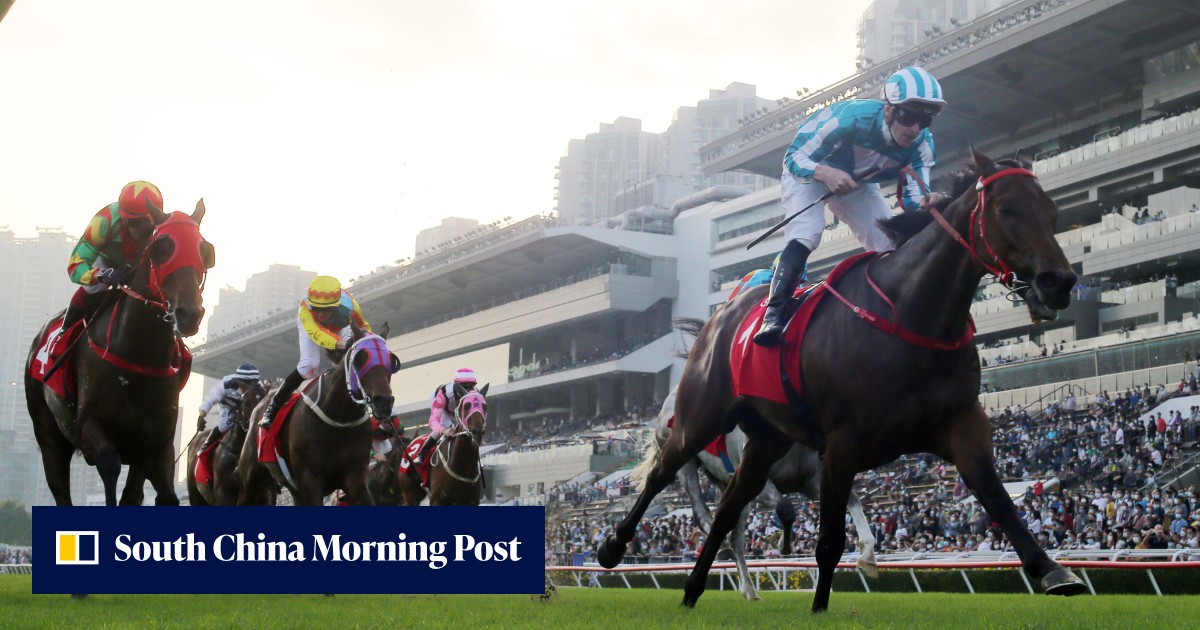 HKIR: Watch the last start of every Hong Kong Cup runner, including ...