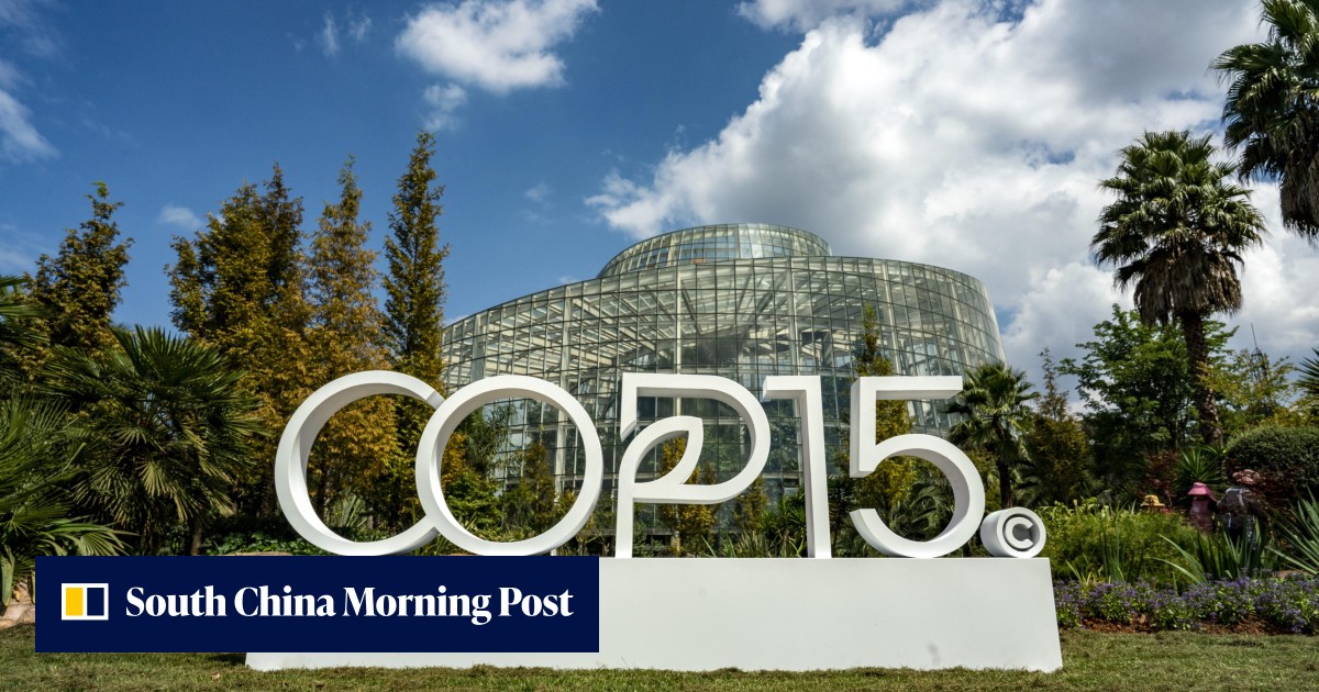 UN conference reaches historic biodiversity deal to protect 30 per cent ...
