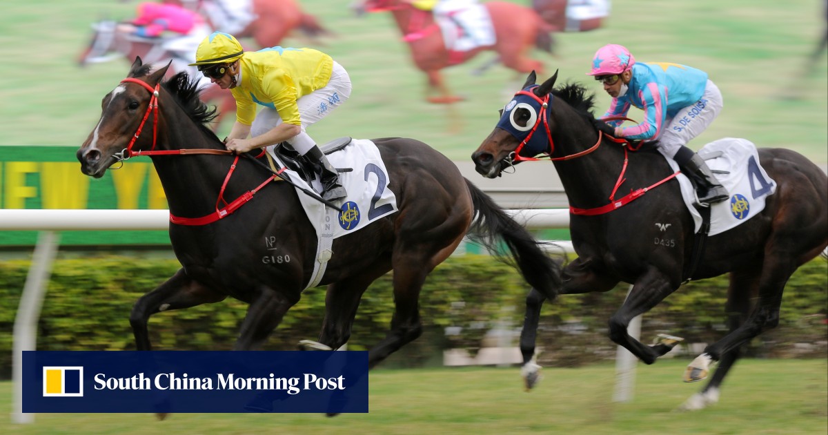 Imperious Lucky Sweynesse bounces back in facile style | HK Racing ...