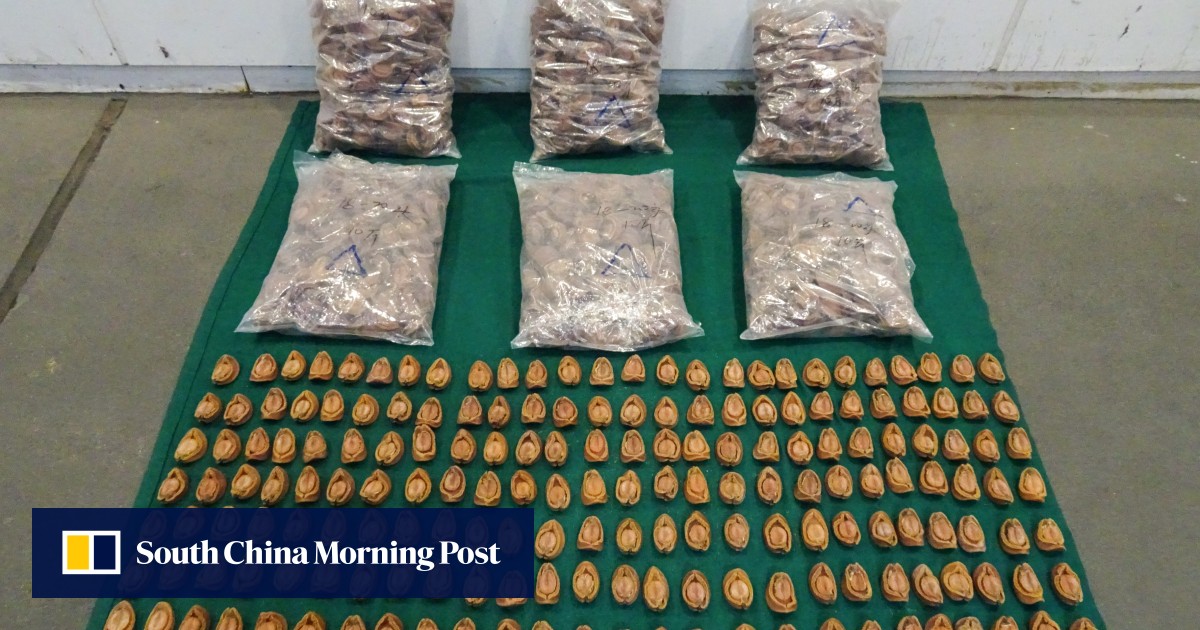 Hong Kong customs officers confiscate dried abalone worth HK2 million from truck heading to