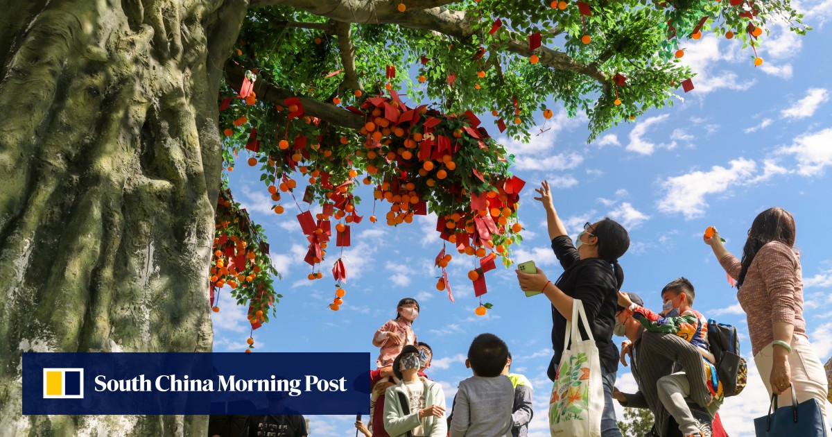 Hong Kong talent headhunting scheme attracts thousands of applicants, including HK$2 million plus earners Hong Kong talent headhunting scheme attracts thousands of applicants, including HK$2 million plus earners