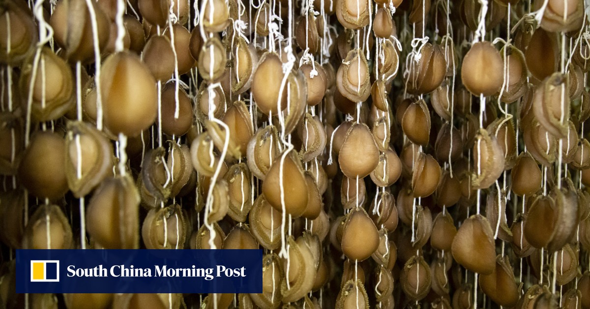 Cold Storage Zimbabwe: Unraveling the Criminal Undercurrents