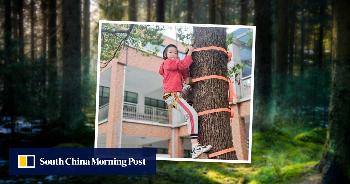 ‘Climb a tree, catch a fish’ primary school in China offers fun