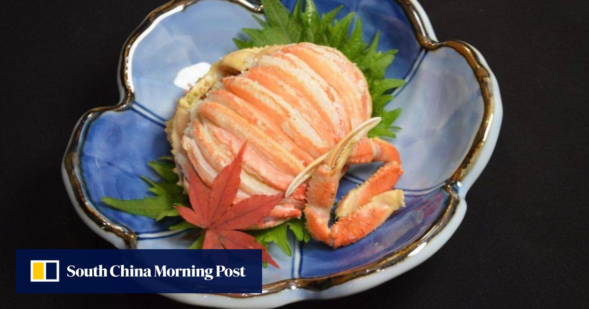 Where a Hong Kong returnee goes for Chiu Chow and authentic Japanese food