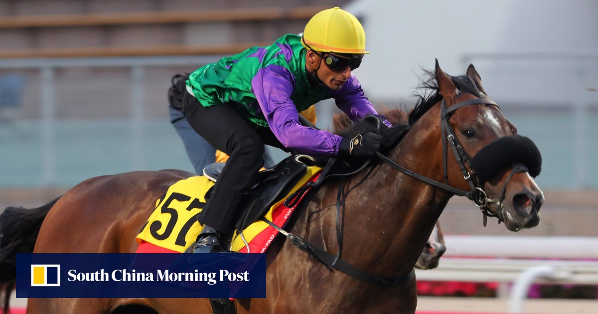 Flaming Rabbit moves well in trial ahead of potential HK debut in the Derby