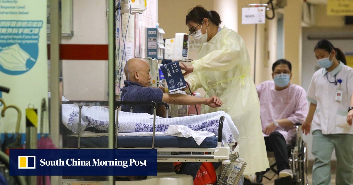 Hong kong nursing body to decide eligibility criteria for new scheme: health chief