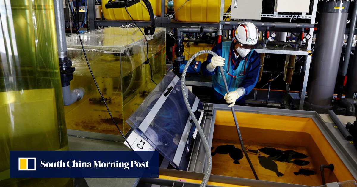 Japan urges Hong Kong to weigh scientific evidence before curbing