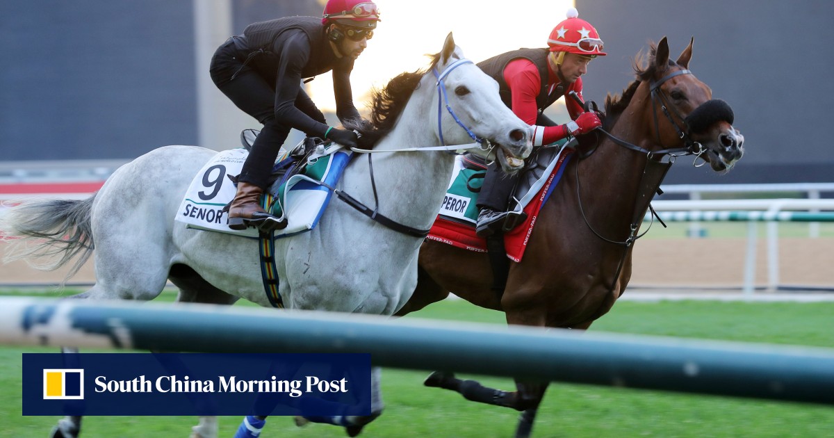 Fownes hopes ‘very good friend’ Dettori can get the best out of Senor Toba at Meydan