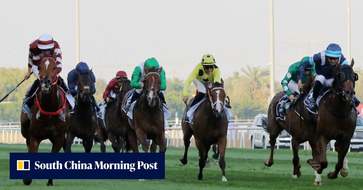 Sight Success, Duke Wai pocket prize money for connections with brave ...