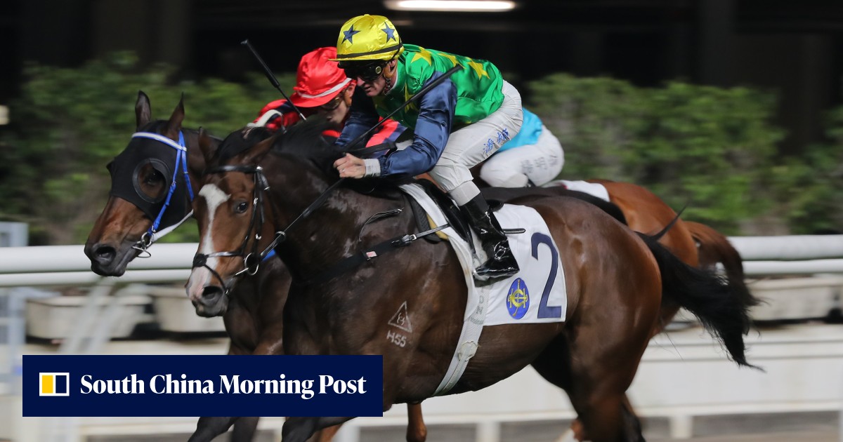 Named after his brand, Jamie Richards sprinter Hoss is making his mark ...