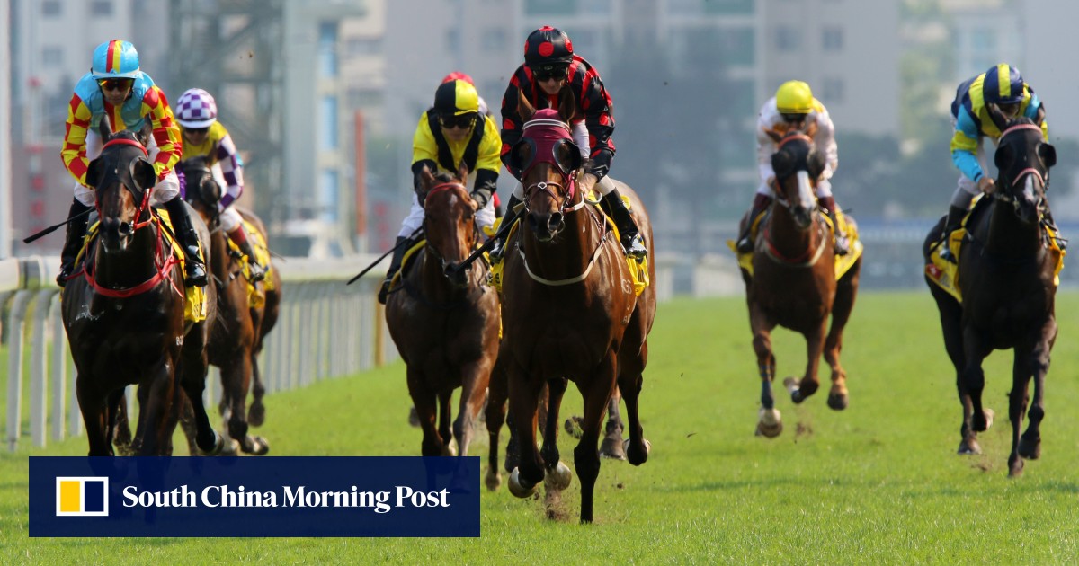 Return of racing between Hong Kong and Macau will help to spark things