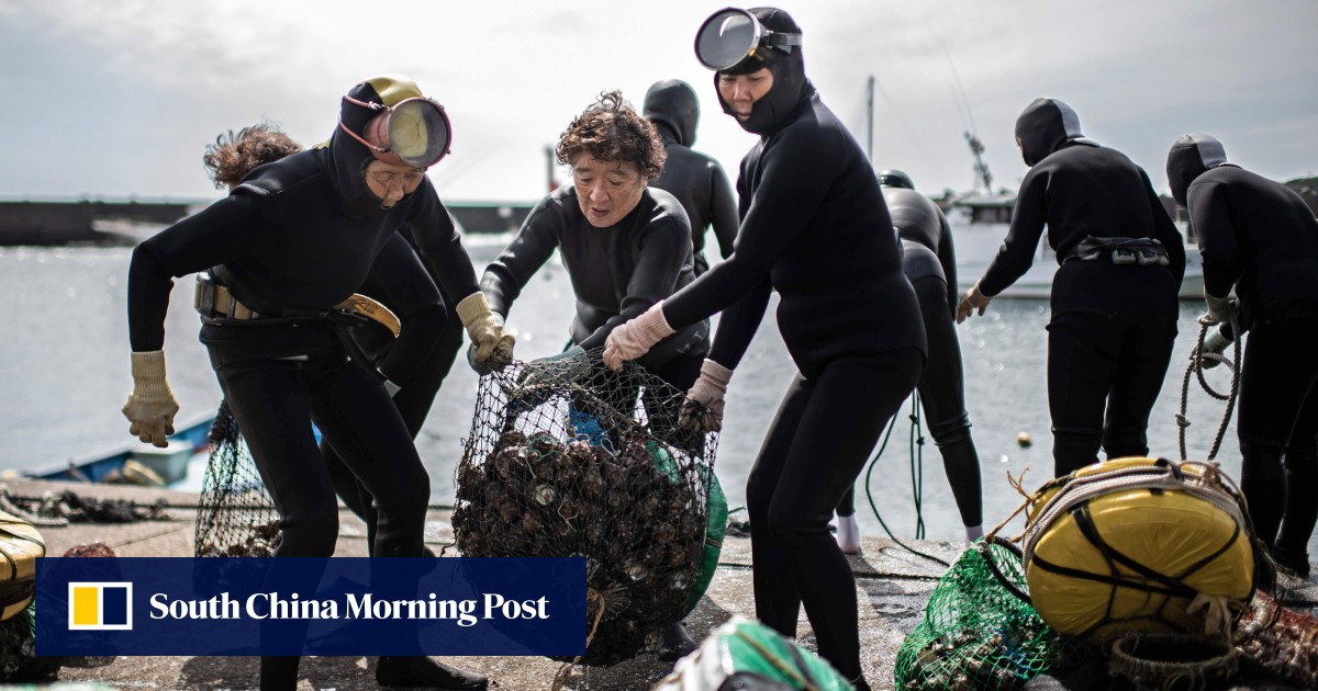 Japan’s ‘ama’ divers struggle to stay afloat as rising sea temperatures erode incomes