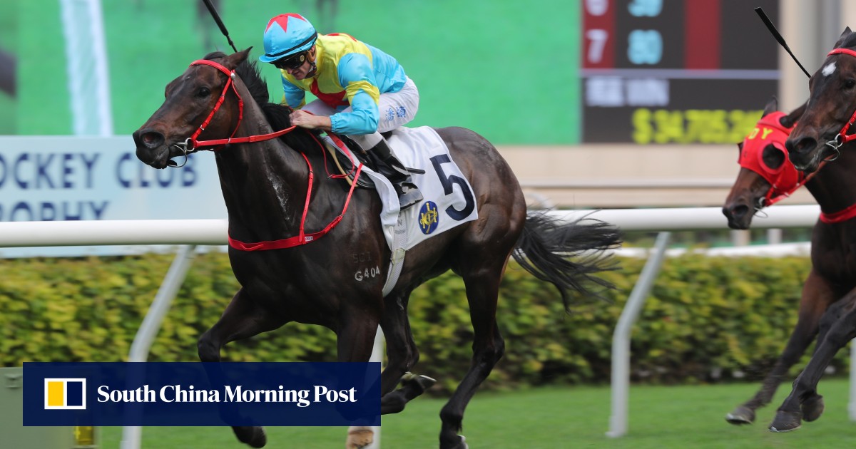 Victor The Winner marches on towards Group company with another Sha Tin success