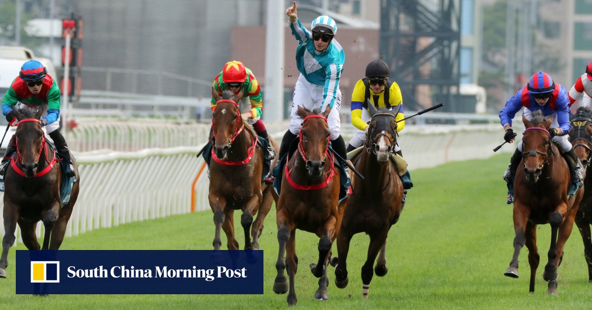 Warrior bounces back with emphatic QE II Cup win: ‘these HK horses are flying’