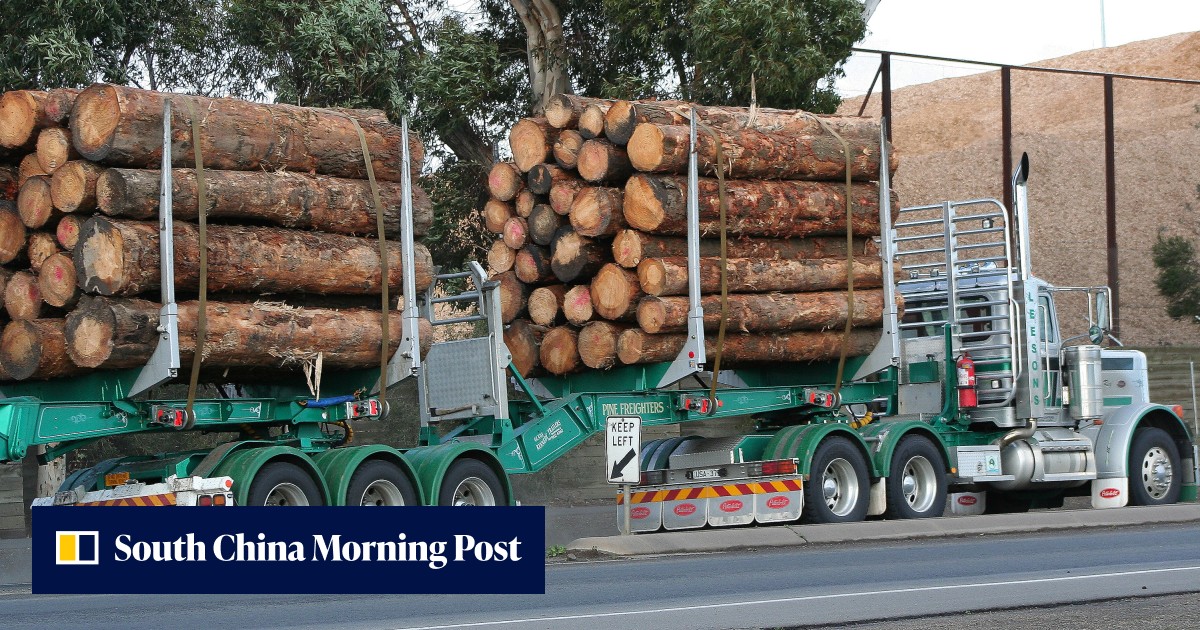 China to resume imports of Australian timber, talks under way for ...