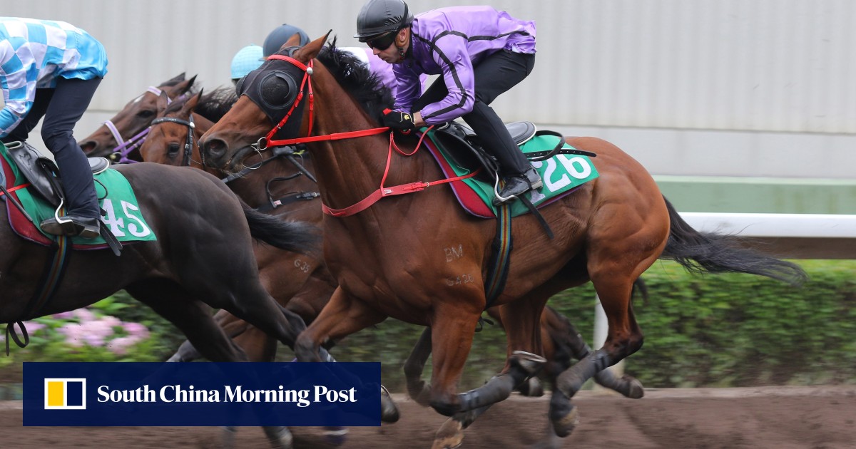 Happy he’s adapted to Hong Kong racing, now it’s time for Brenton