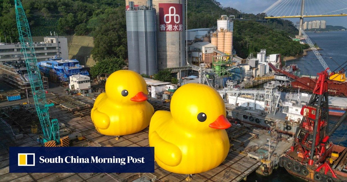 Hong Kong s favourite giant rubber duck is returning to Victoria