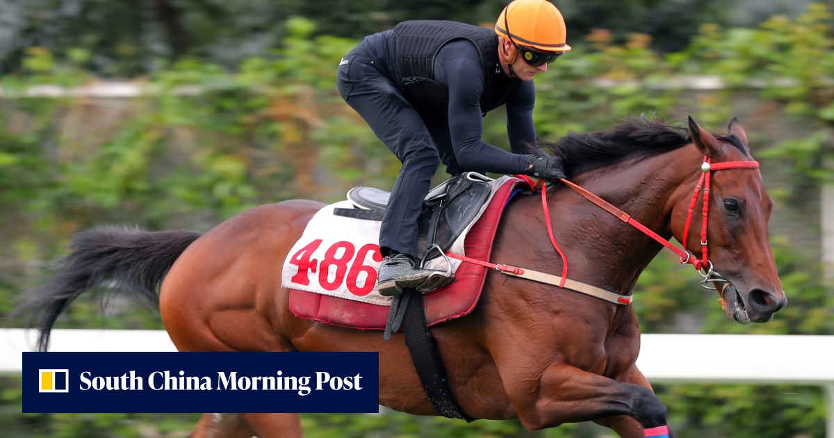Three trials and six gallops later, Zac Purton gets his chance aboard ...