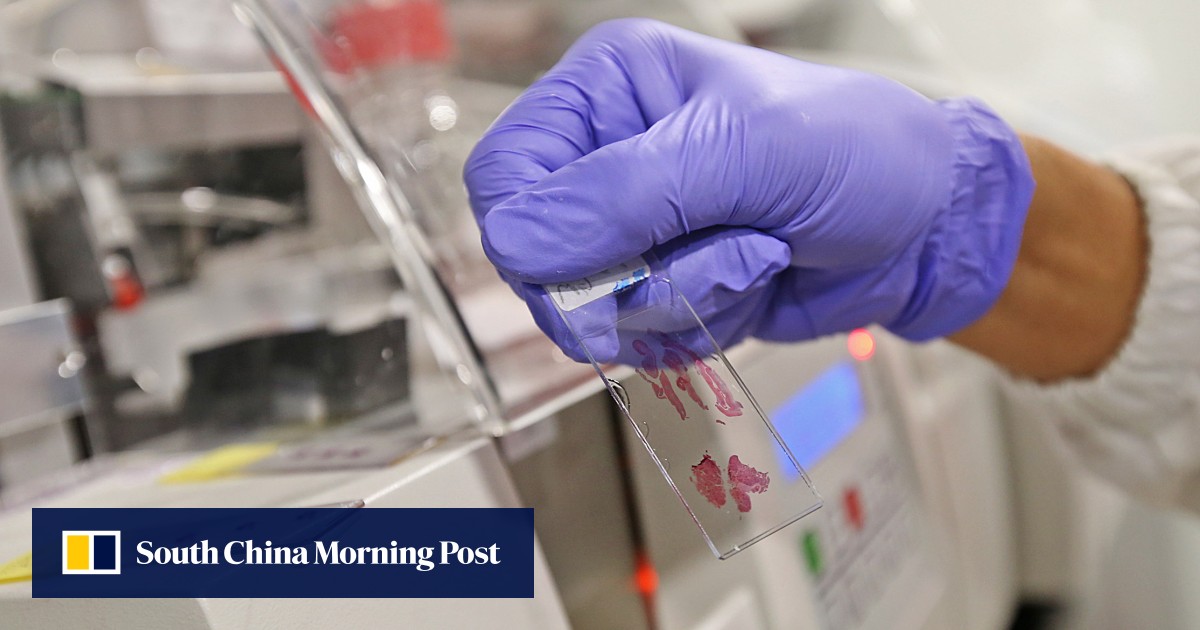 39 overseas academics recruited to Hong Kong; some say labs, home costs a problem