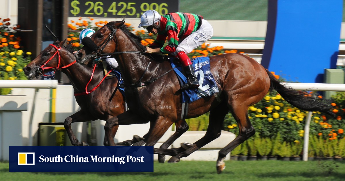 Passionate Warrior defeat paves way for Golden Sixty Horse of the Calendar year hat-trick, Silvestre de Sousa withdraws enchantment | HK Racing