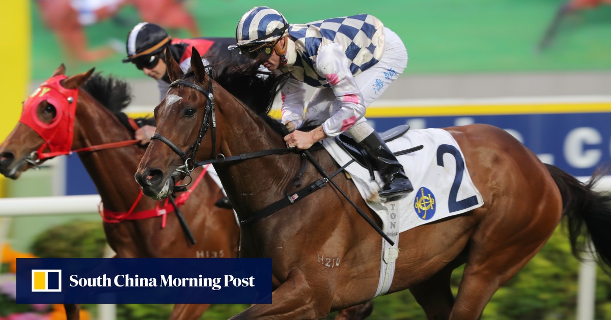 Outside gate latest barrier to Chilean champion Alacrity’s success in ...