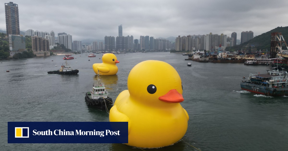Giant rubber ducks to return to Hong Kong’s Victoria Harbour on June 10 as artwork on installations hit MTR stations