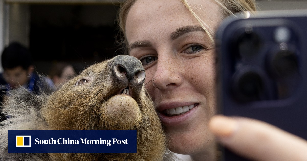Stop ‘selfish selfies’: wildlife charity denounces cruel animal photo trade