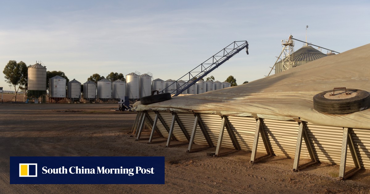 Australia ‘hopeful’ barley exports to China will resume soon as talks