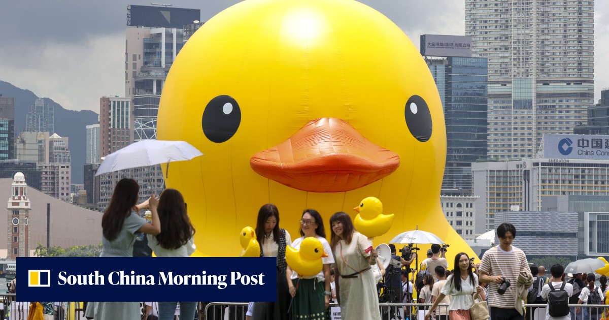 Welcome quack! Beloved giant duck artwork returns to Hong Kong, this ...