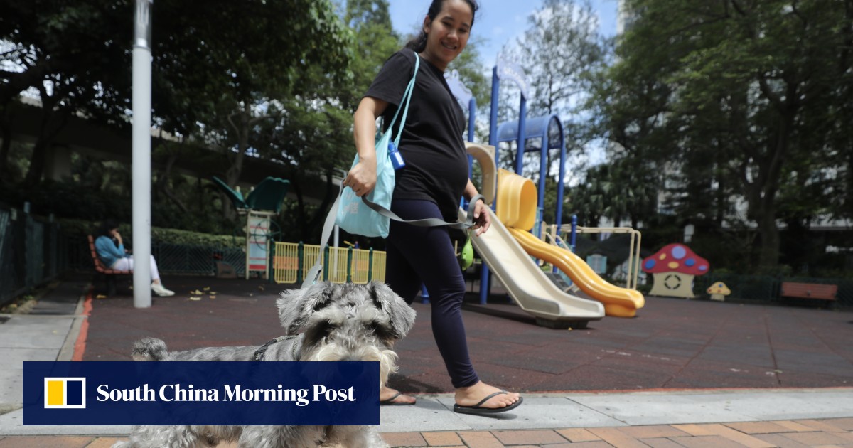 Is Hong Kong petfriendly? Owners new dog parks but want more areas open to furry