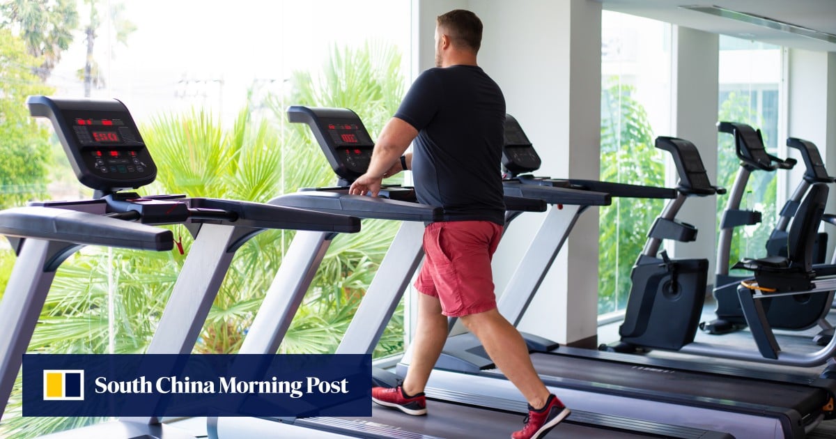 Comment perdre du poids de manière saine : plus d’exercice ne le rendra pas moins, mais changer votre alimentation vous fera du bien, dit un professeur qui a enseigné aux chasseurs-cueilleurs Comment perdre du poids de manière saine : plus d’exercice ne le rendra pas moins, mais changer votre alimentation vous fera du bien, dit un professeur qui a enseigné aux chasseurs-cueilleurs