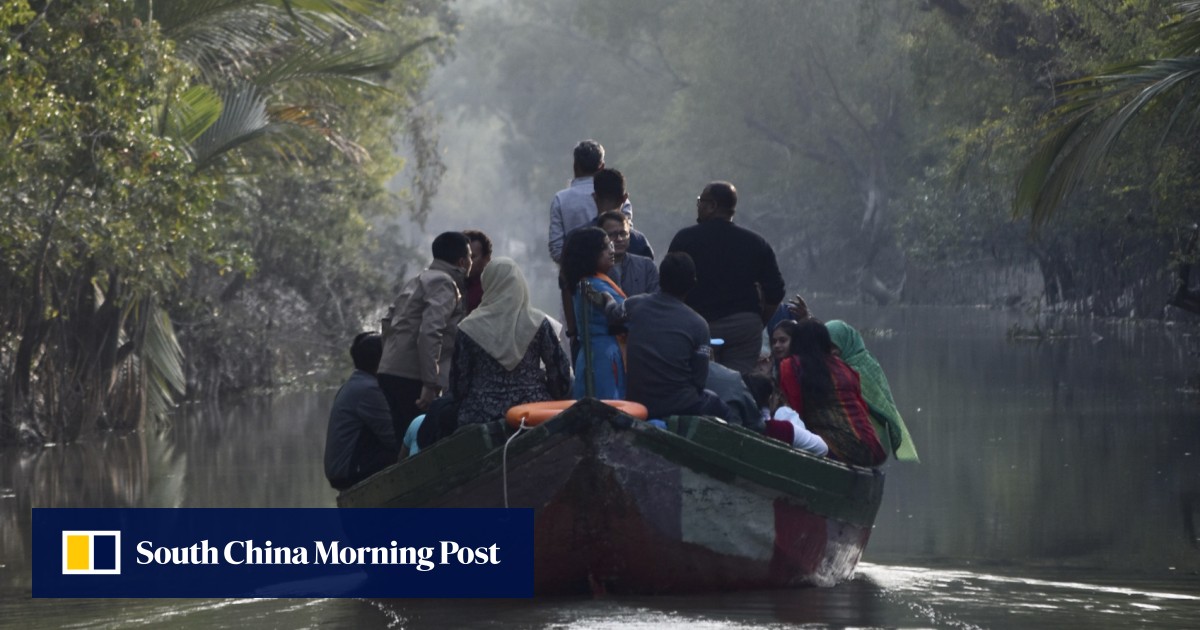 ‘Awe at its primordial might’: a cruise in world’s largest mangrove forest