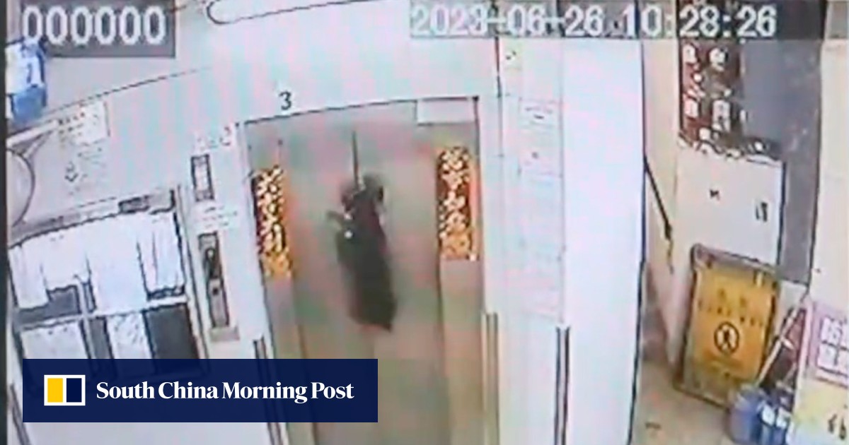 Hong Kong dog on leash escapes being strangled to death after owner gets into lift and pet stays